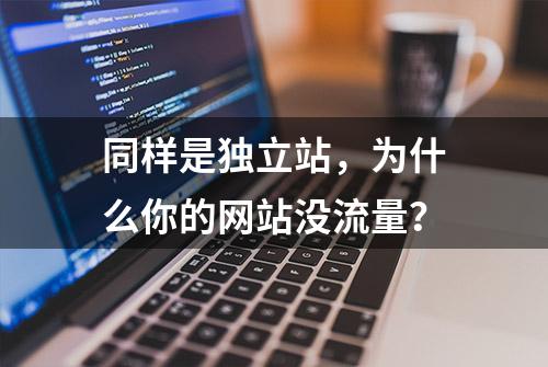 同样是独立站，为什么你的网站没流量？