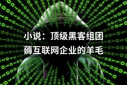 小说：顶级黑客组团薅互联网企业的羊毛