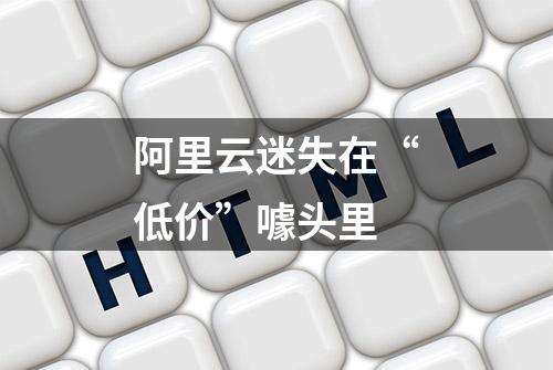 阿里云迷失在“低价”噱头里