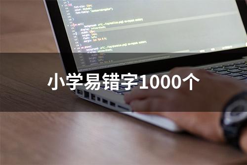 小学易错字1000个