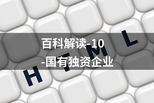 百科解读-10-国有独资企业