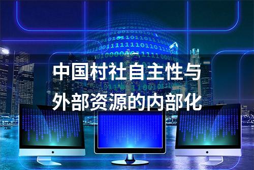 中国村社自主性与外部资源的内部化