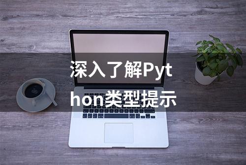 深入了解Python类型提示