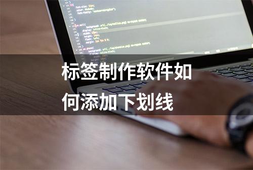 标签制作软件如何添加下划线