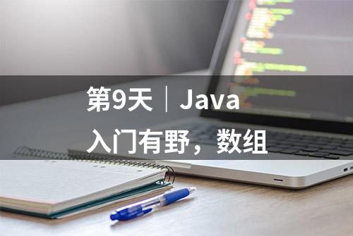 第9天｜Java入门有野，数组