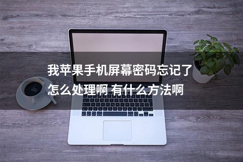 我苹果手机屏幕密码忘记了 怎么处理啊 有什么方法啊