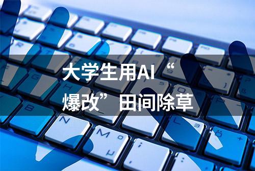 大学生用AI“爆改”田间除草