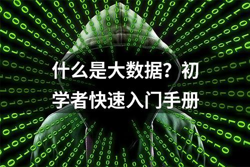 什么是大数据？初学者快速入门手册