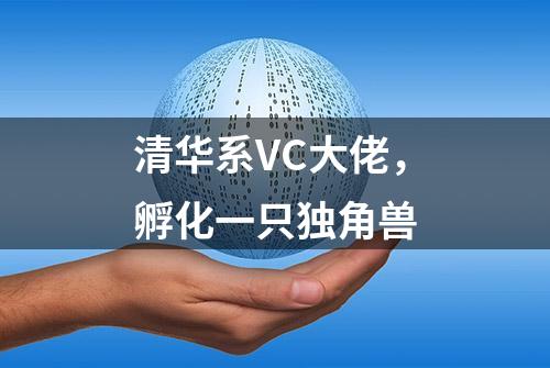 清华系VC大佬，孵化一只独角兽