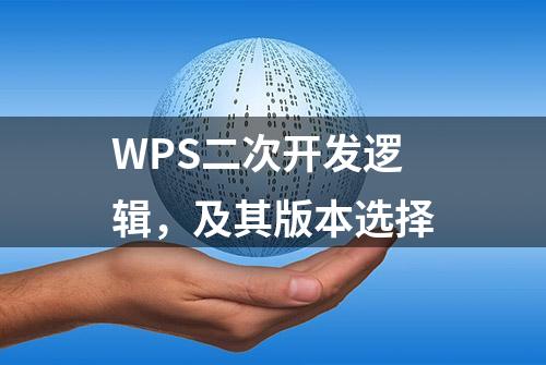 WPS二次开发逻辑，及其版本选择