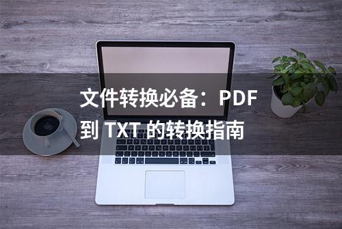 文件转换必备：PDF 到 TXT 的转换指南