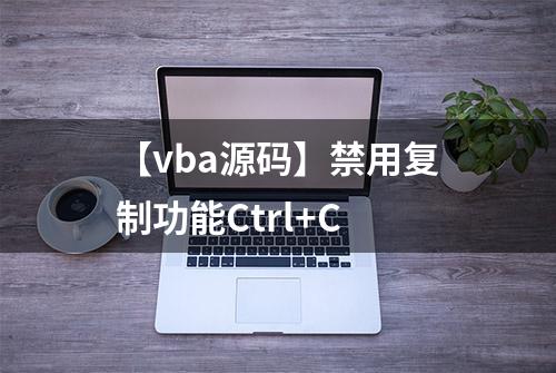 【vba源码】禁用复制功能Ctrl+C