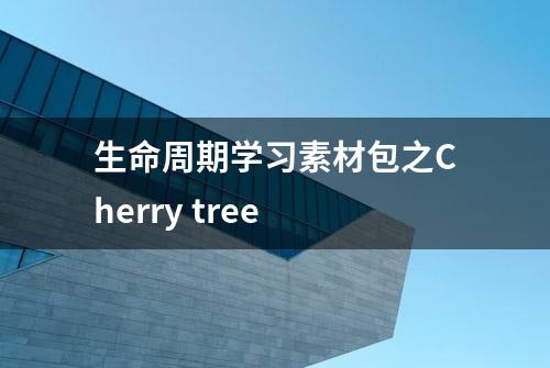 生命周期学习素材包之Cherry tree