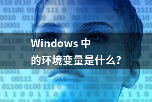 Windows 中的环境变量是什么？