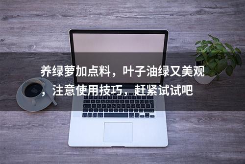 养绿萝加点料，叶子油绿又美观，注意使用技巧，赶紧试试吧