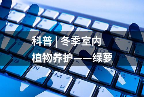 科普 | 冬季室内植物养护——绿萝