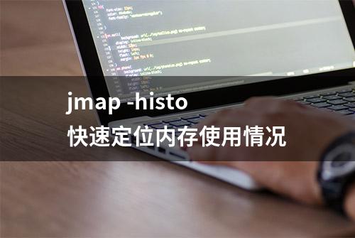 jmap -histo快速定位内存使用情况