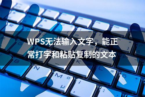 WPS无法输入文字，能正常打字和粘贴复制的文本