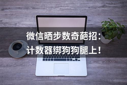 微信晒步数奇葩招：计数器绑狗狗腿上！