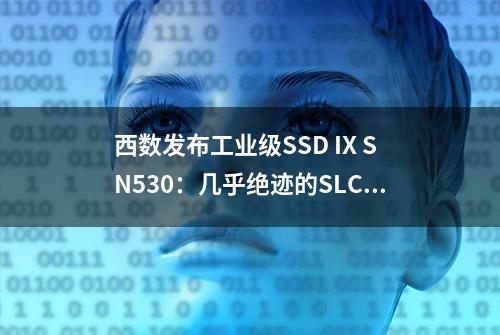 西数发布工业级SSD IX SN530：几乎绝迹的SLC闪存、85GB起步