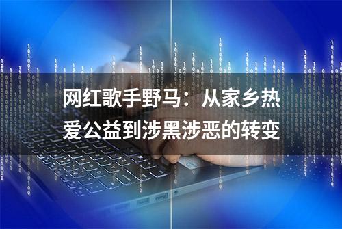 网红歌手野马：从家乡热爱公益到涉黑涉恶的转变