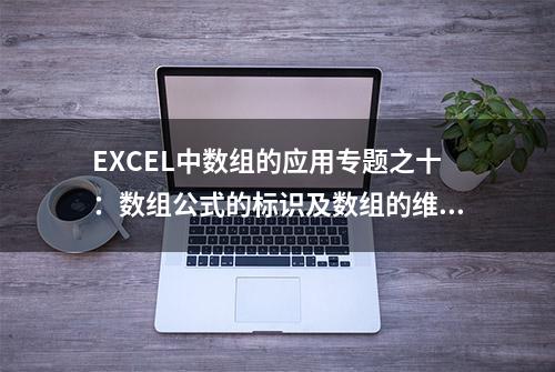 EXCEL中数组的应用专题之十：数组公式的标识及数组的维数