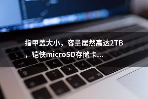 指甲盖大小，容量居然高达2TB，铠侠microSD存储卡拓展Switch实测