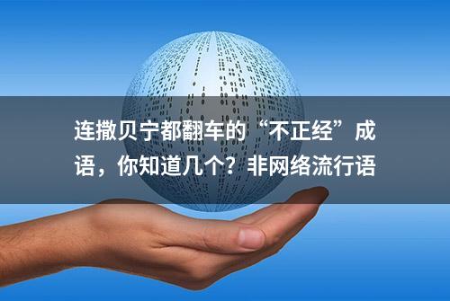 连撒贝宁都翻车的“不正经”成语，你知道几个？非网络流行语