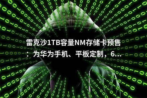 雷克沙1TB容量NM存储卡预售：为华为手机、平板定制，699元