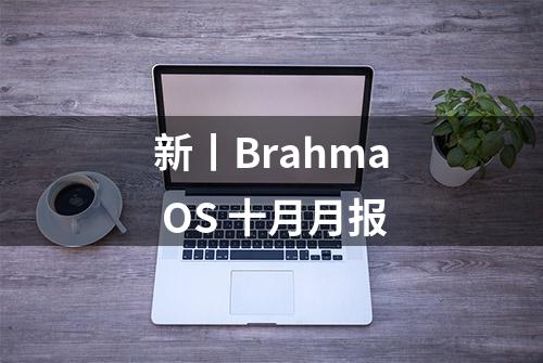 新丨Brahma OS 十月月报