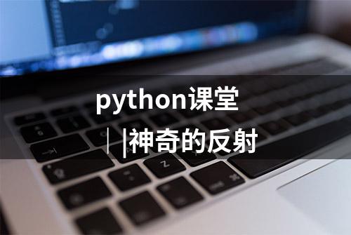 python课堂｜|神奇的反射